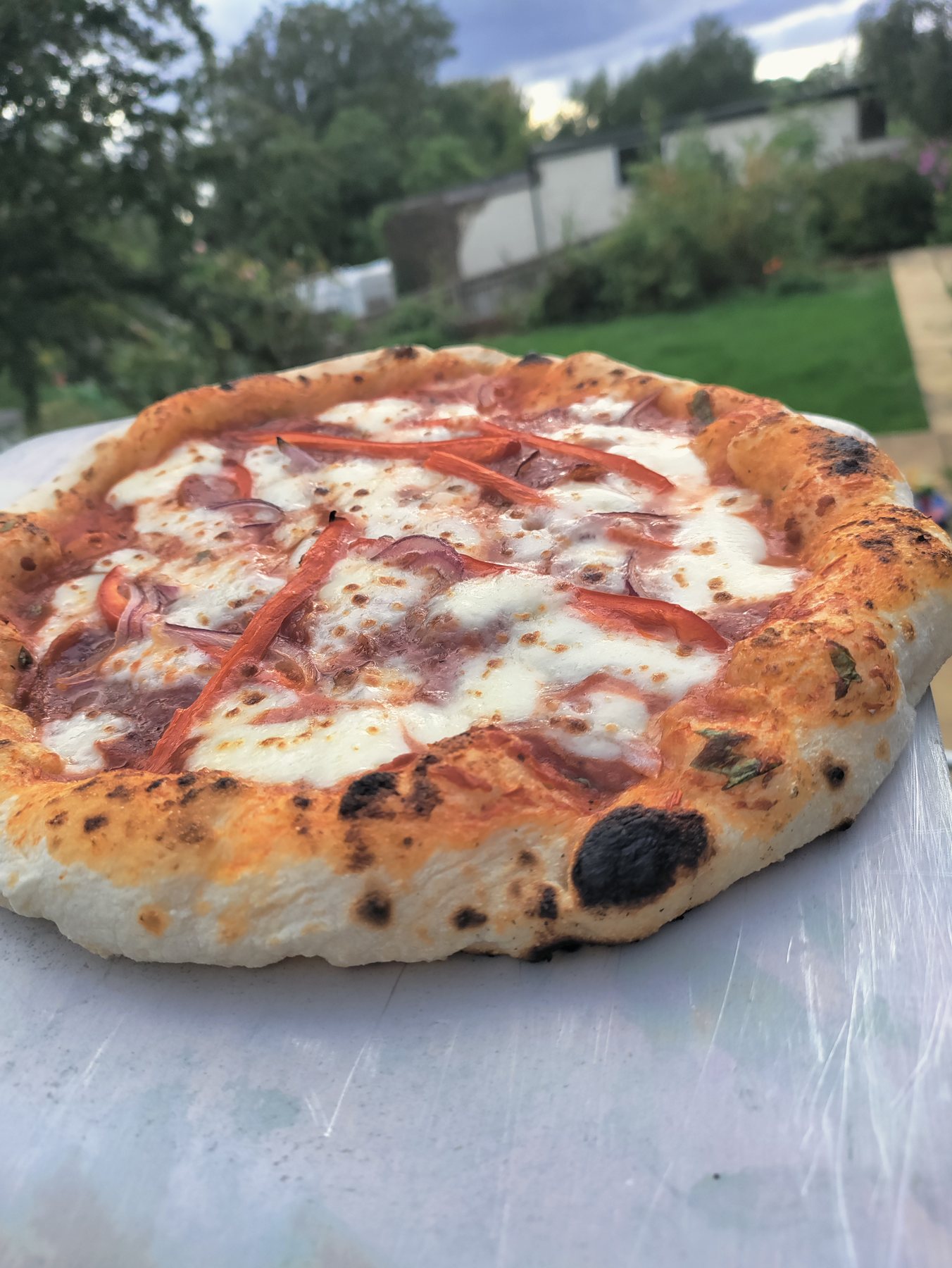Fresh Neapolitan-style pizza with puffy crust